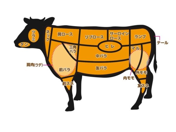 牛肉の部位のイメージ